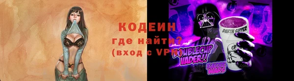 сатива Вяземский