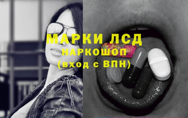 сатива Вяземский