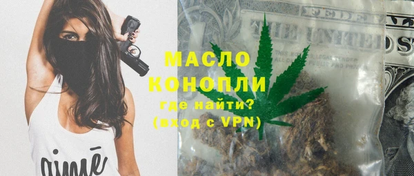 сатива Вяземский