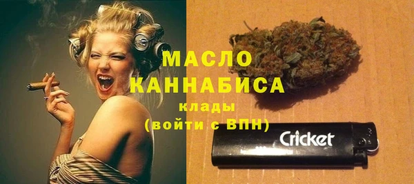 сатива Вяземский