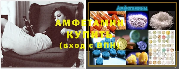 сатива Вяземский