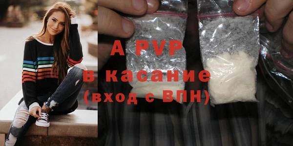сатива Вяземский