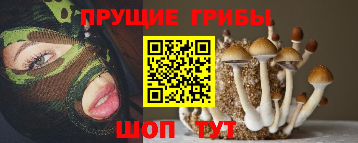 Галлюциногенные грибы GOLDEN TEACHER Дальнереченск